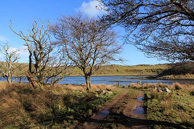 Kildalton and Ardmore walk kildalton-ardmore-walk