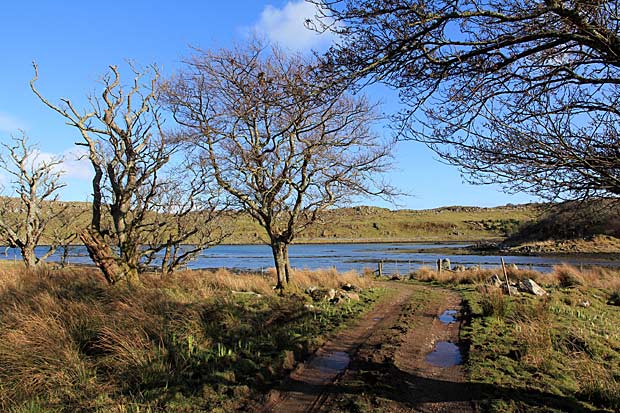 kildalton-ardmore-walk