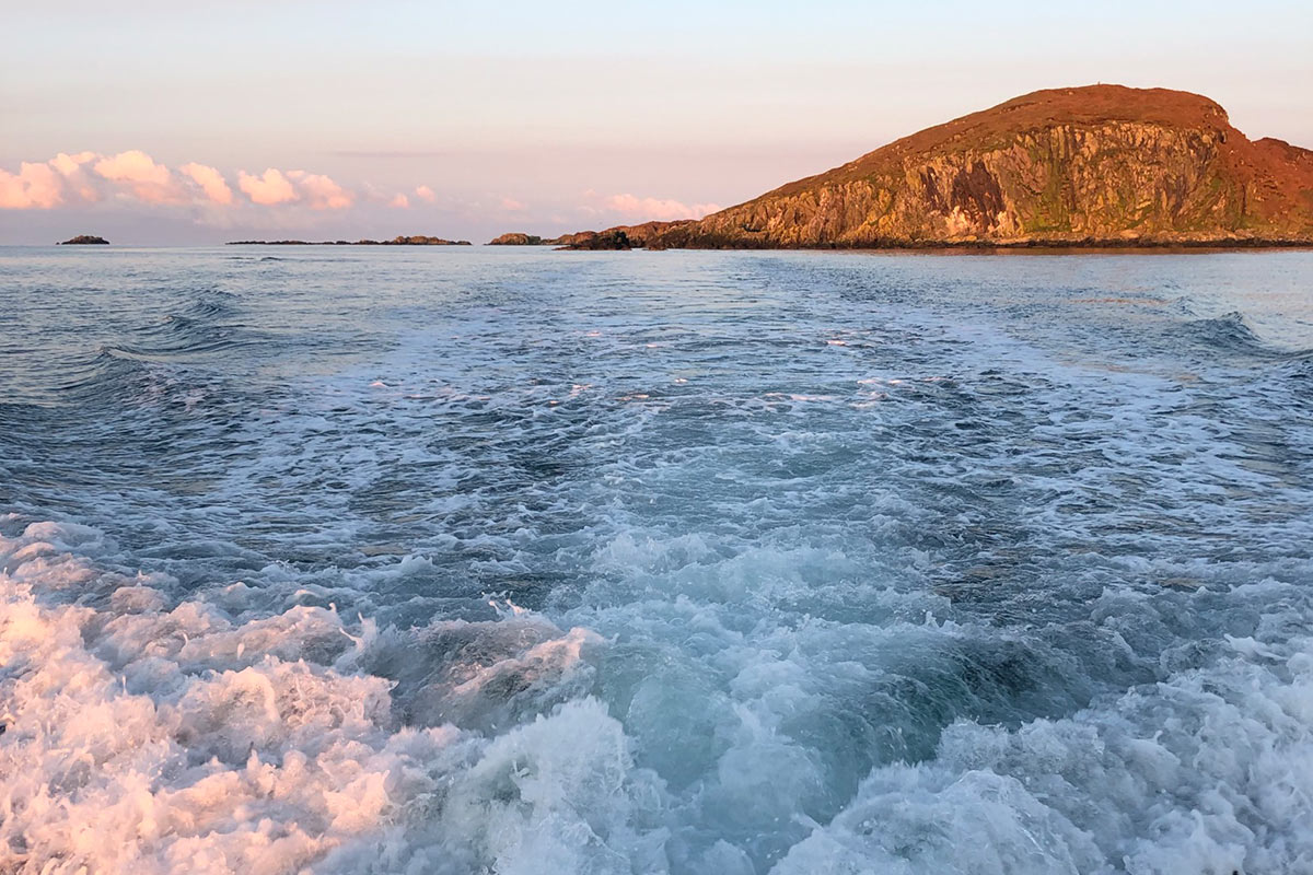 islay-sea-adventure-boat-trips