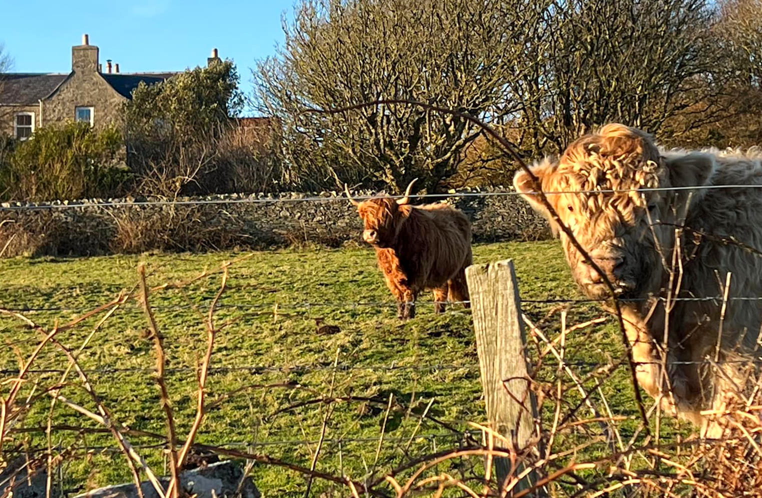 Photograph of Easter Ellister Farmhouse.